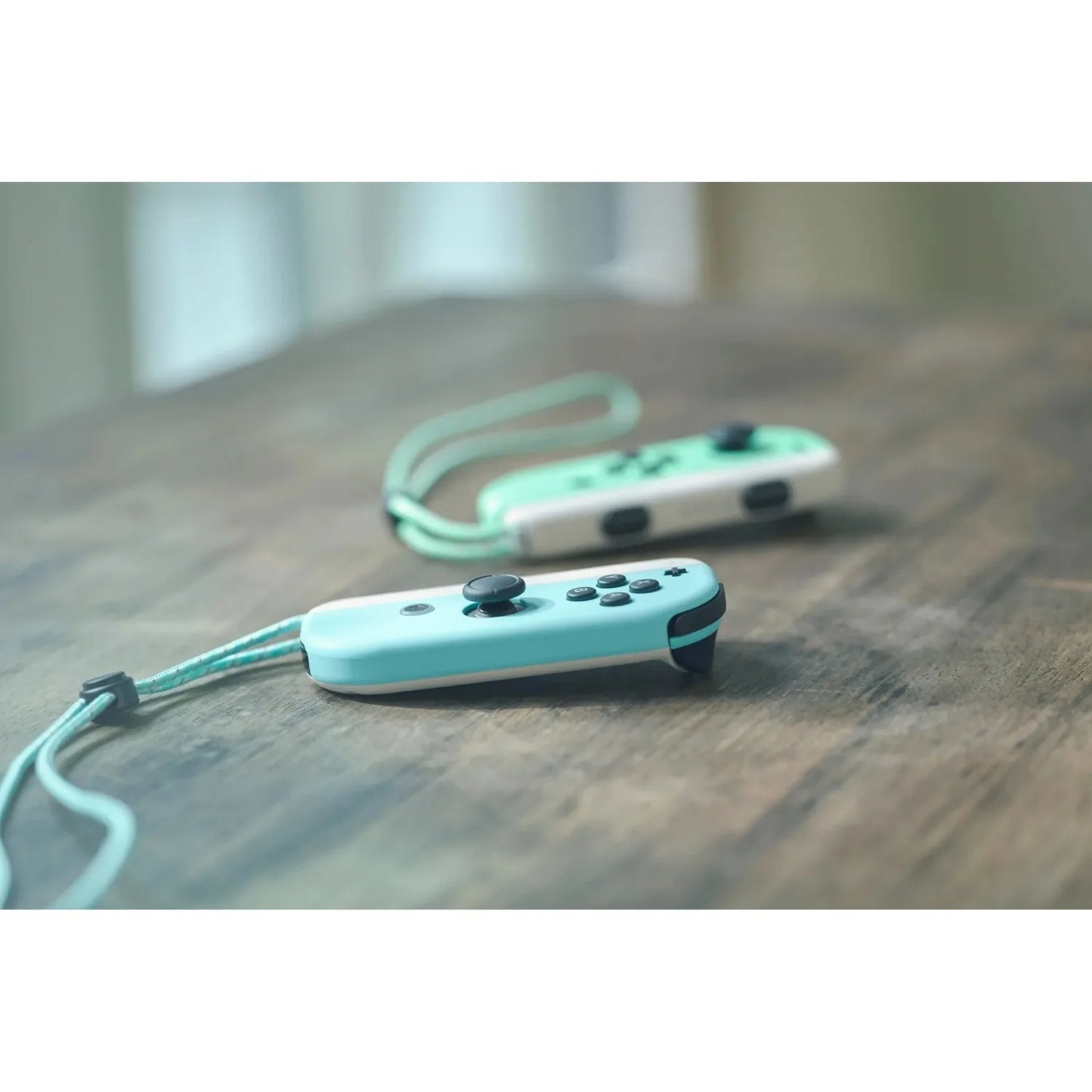Nintendo Switch Animal Crossing Blue And Green