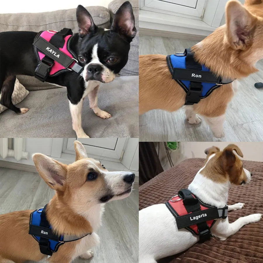 Dog Harness  Vest ID Custom Patch