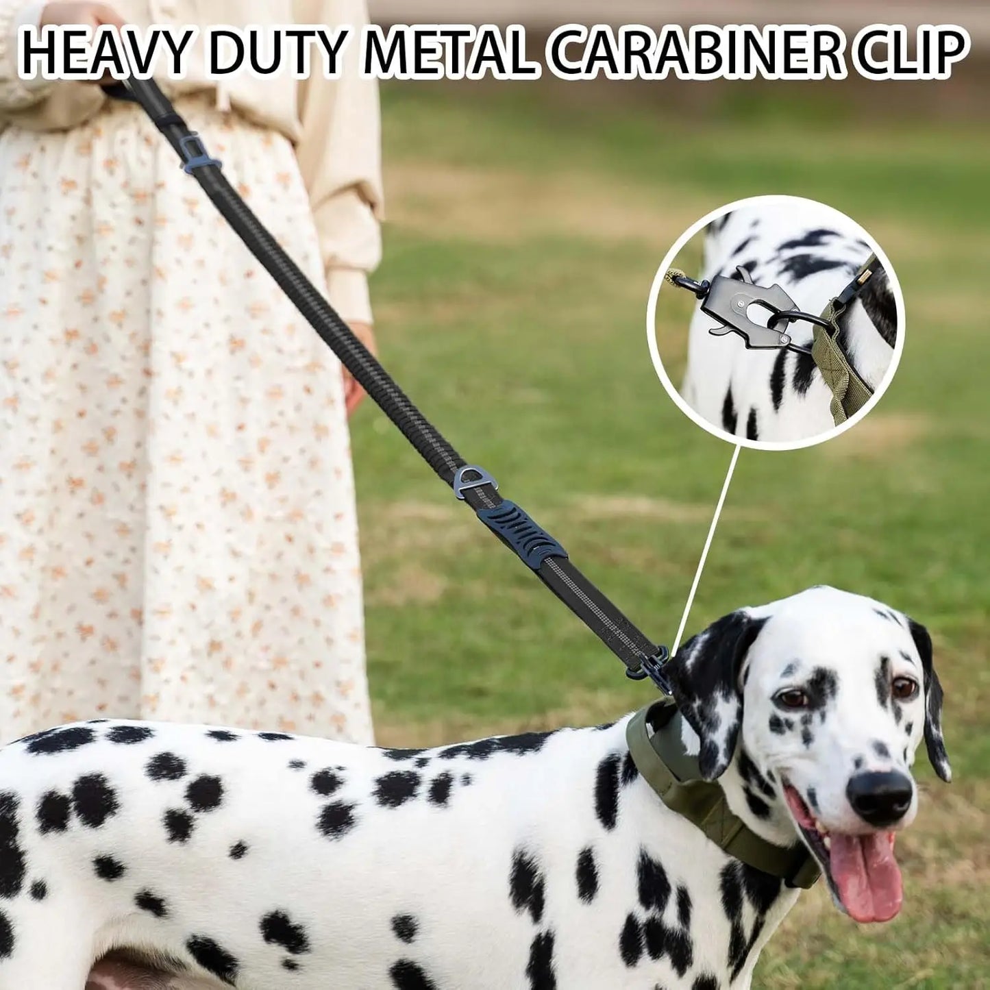 Reflective Shock Absorbing Pet Leash
