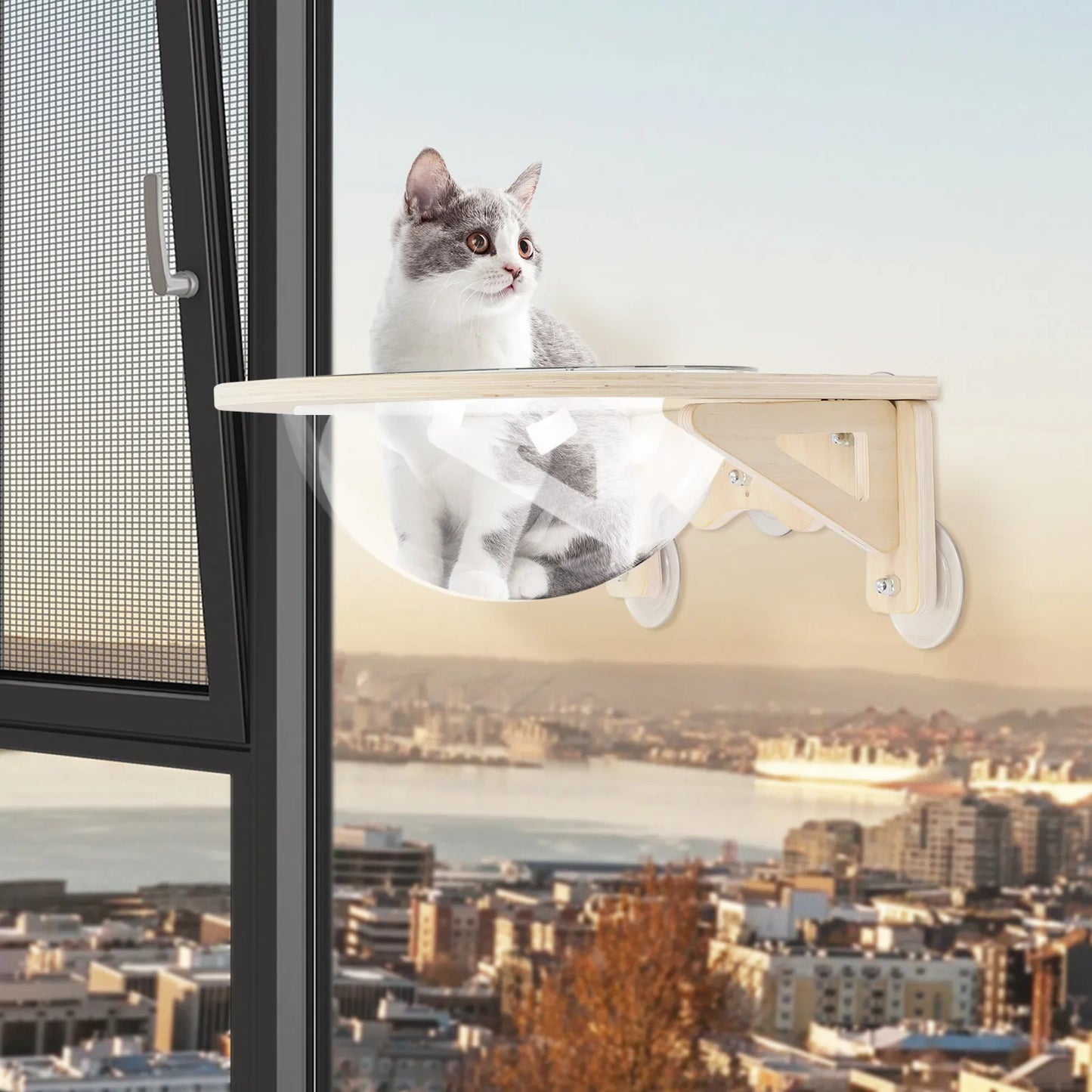Clear Cat House Wall-Mounted