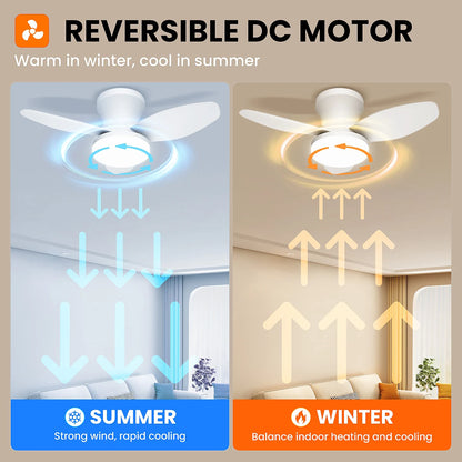 Three Leaf Ceiling Fan with Light & Remote Control