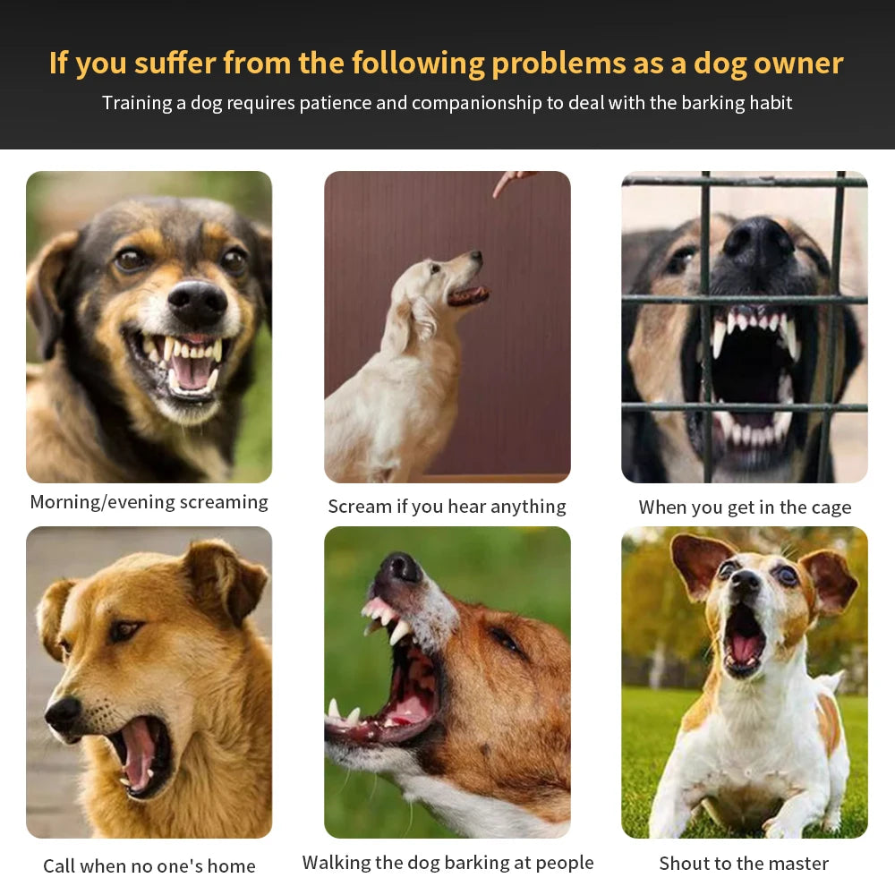 Dog Training  Anti-barking Collar