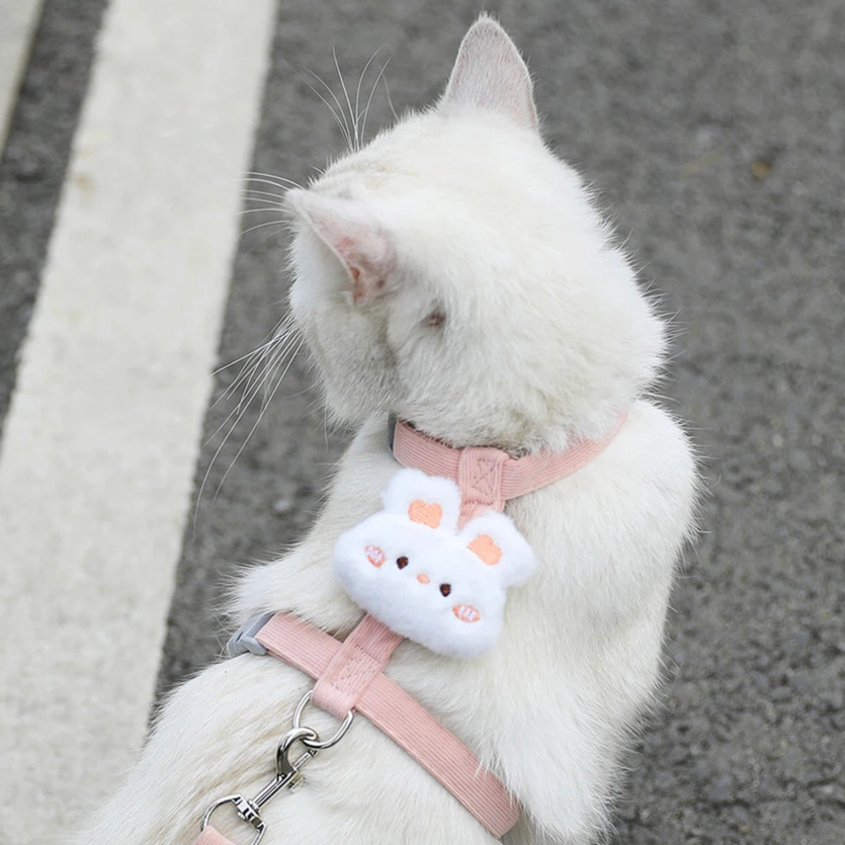 Cat Harness and Leash Set