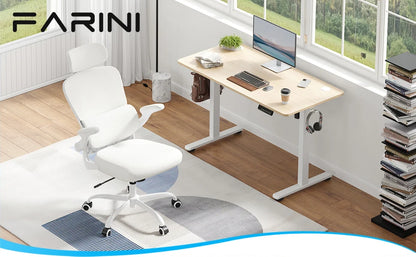 Ergonomic Office Chair