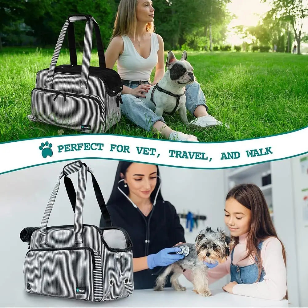 Small Dog Cat Purse Carrier  Airline Approved