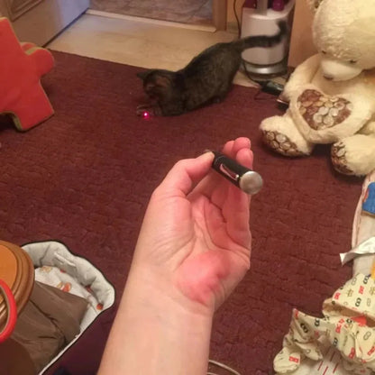 Pet Laser Pointer & LED Flashlight