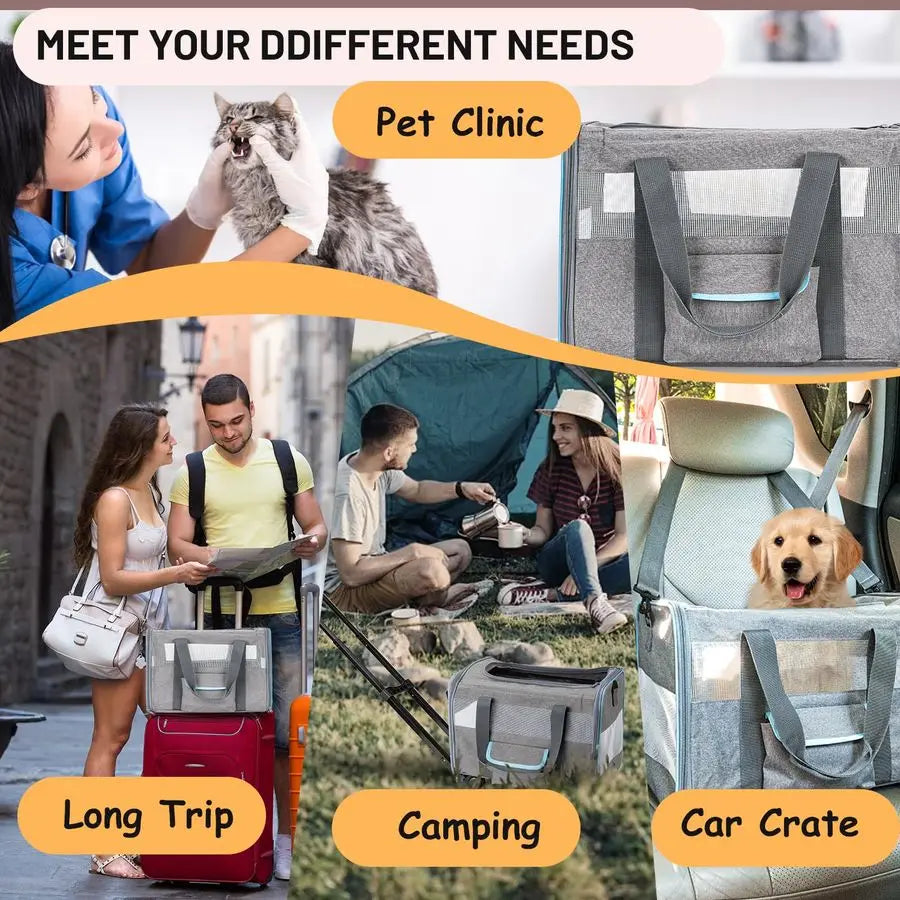 Carrier for Small Pet