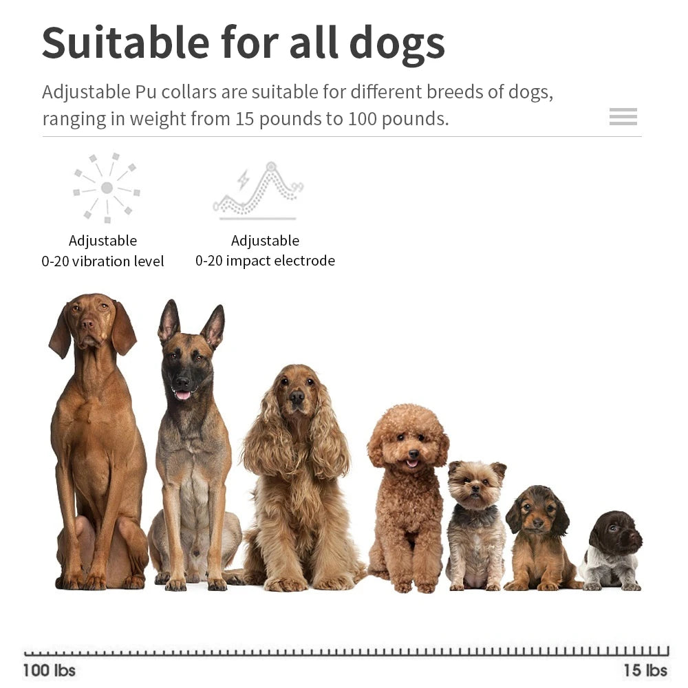 Dog Training  Anti-barking Collar