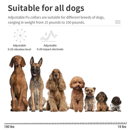 Dog Training  Anti-barking Collar