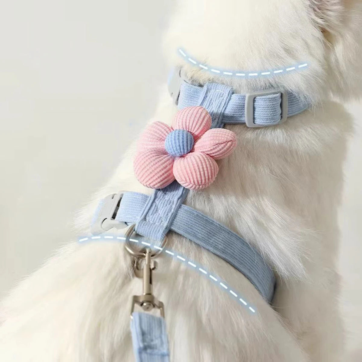 Cat Harness and Leash Set