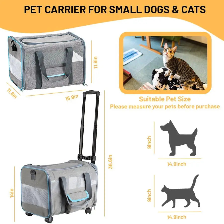 Carrier for Small Pet