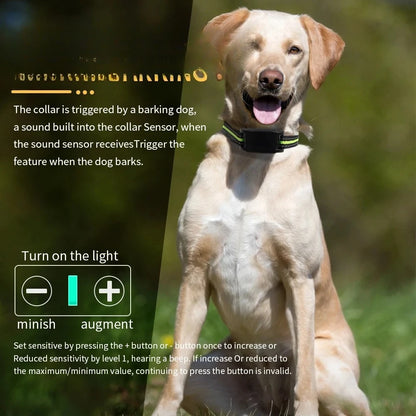 Dog Training  Anti-barking Collar
