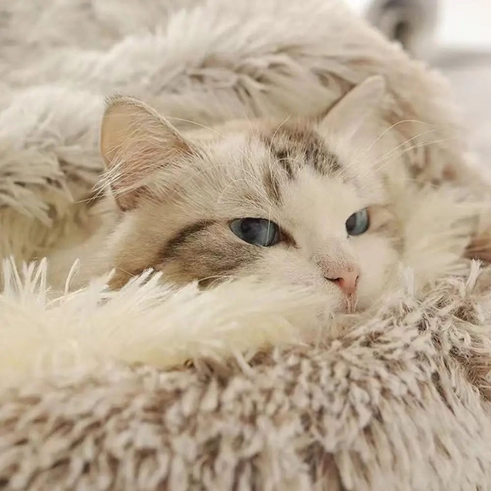 Winter Plush Round Cat Bed