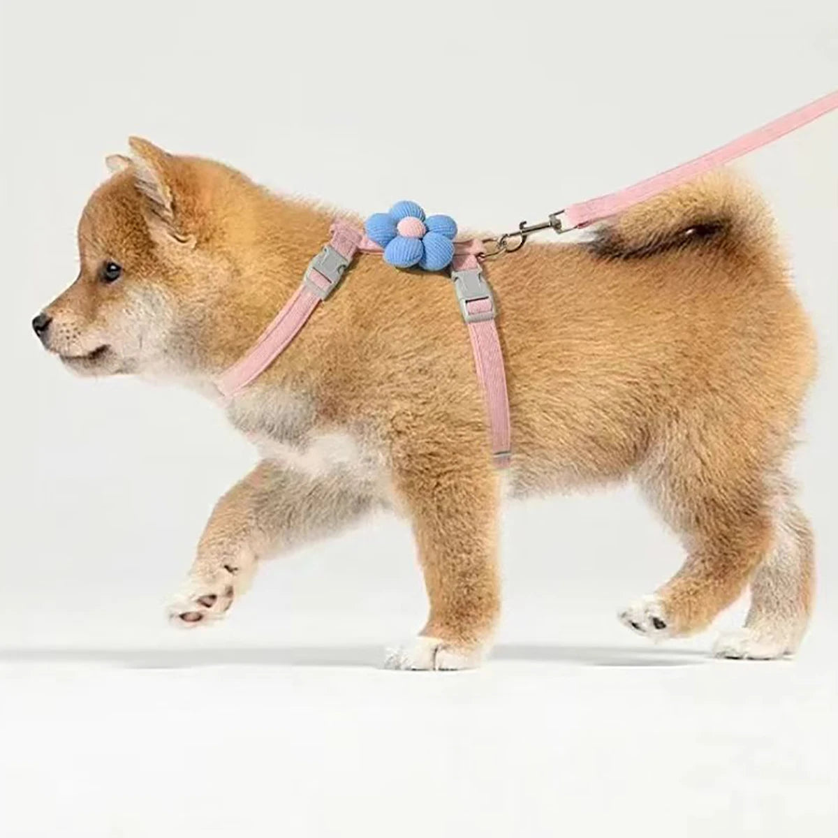 Cat Harness and Leash Set