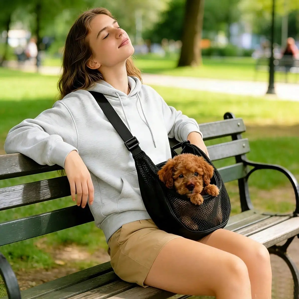 Foldable Ventilated Pet Sling Bag