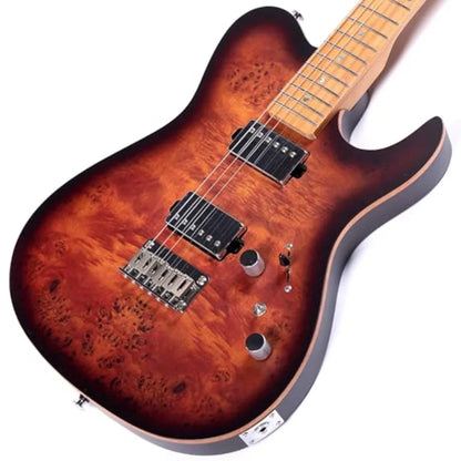 Electric Guitar