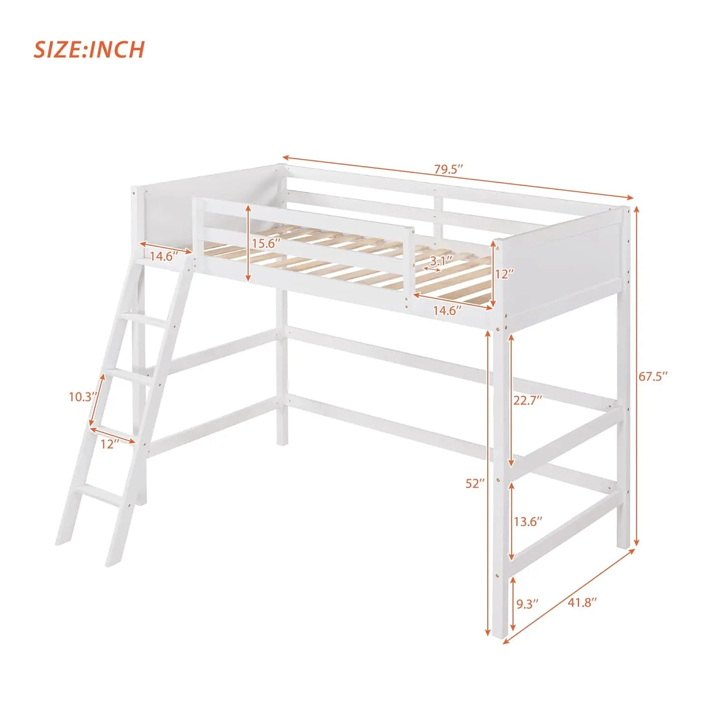 Twin Modern Kids Loft Bed