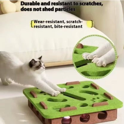 Interactive Cat Toy Maze Game