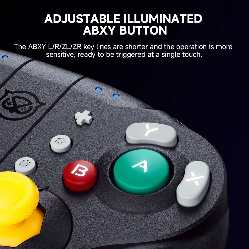 Switch2 Wizard Bluetooth Game Controller
