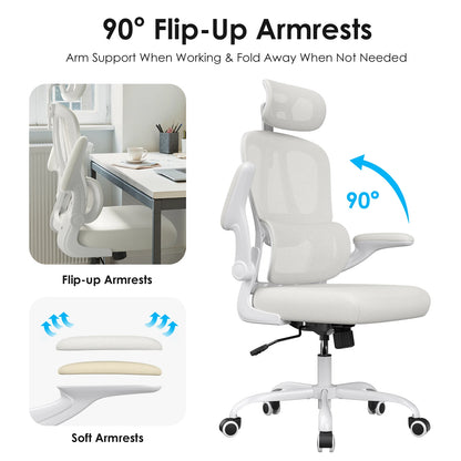 Ergonomic Office Chair