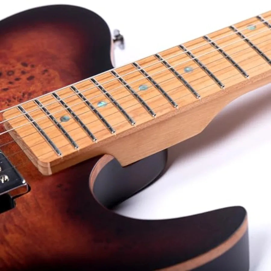 Electric Guitar
