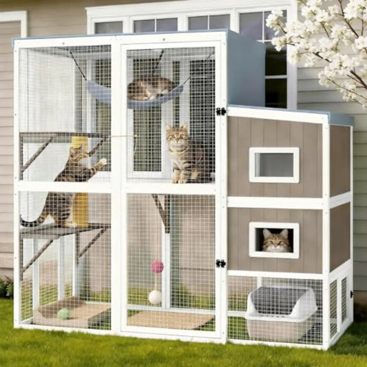 Large Cat Enclosure 4 Level Platforms
