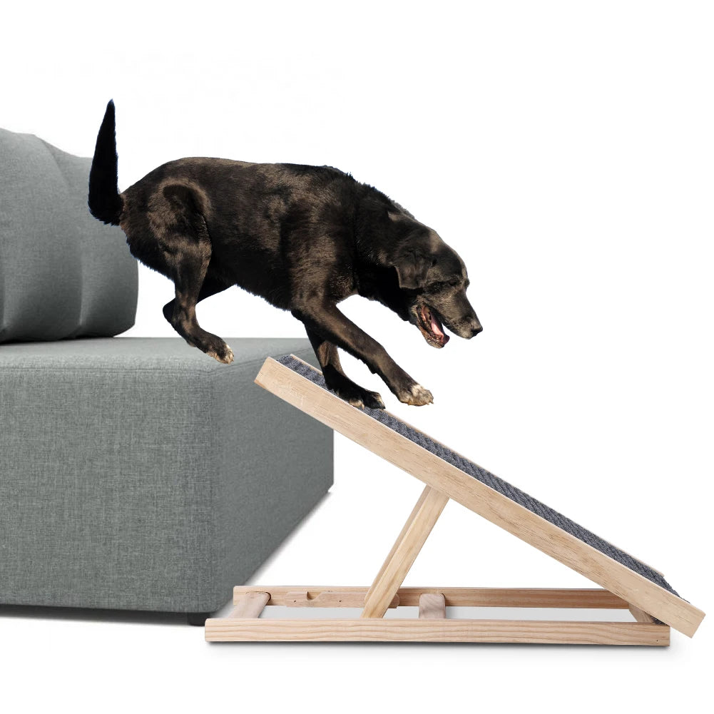 Wooden Ramp with Adjustable Height