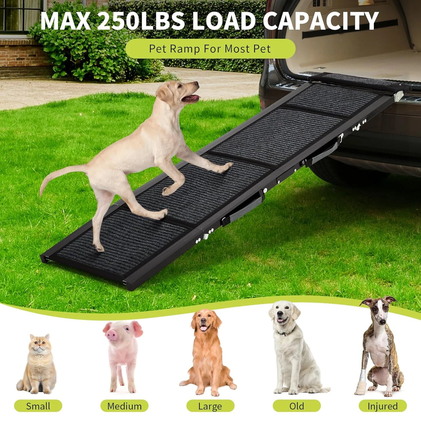 Upgraded Dog Ramp For Cars