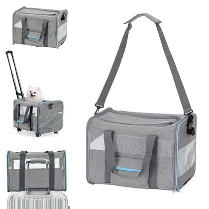 Carrier for Small Pet