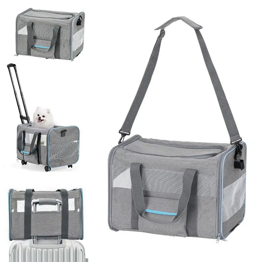 Carrier for Small Pet