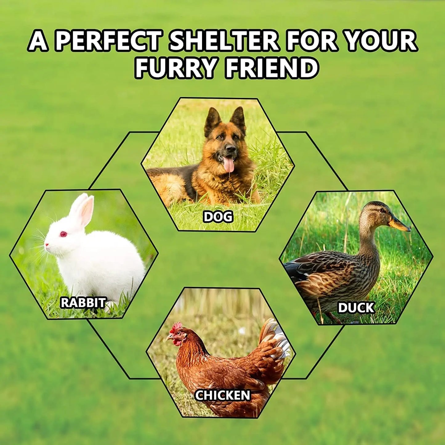 Extra Large Outdoor Dog Kennel