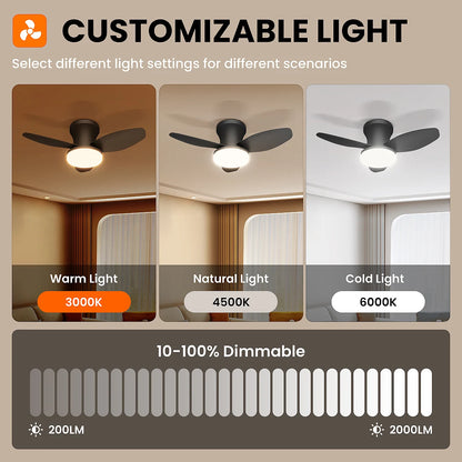 Three Leaf Ceiling Fan with Light & Remote Control