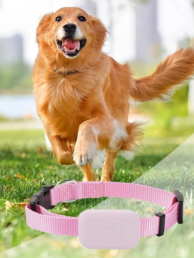 Pet GPS Tracker with Adjustable Collar