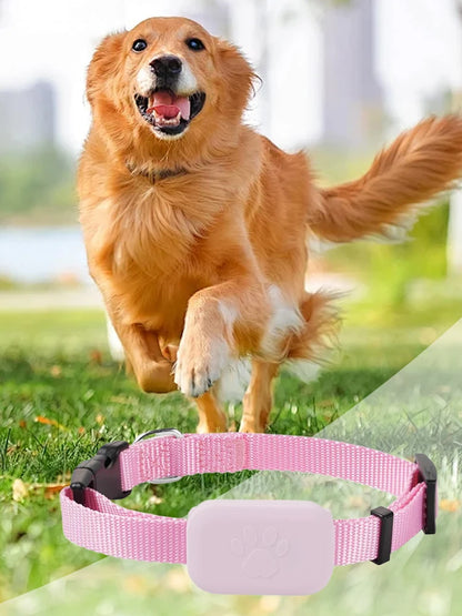 Pet GPS Tracker with Adjustable Collar