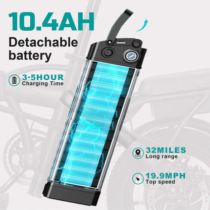 Adult Electric Bike