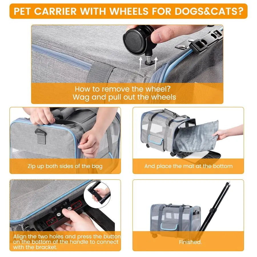 Carrier for Small Pet