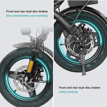 Adult Electric Bike