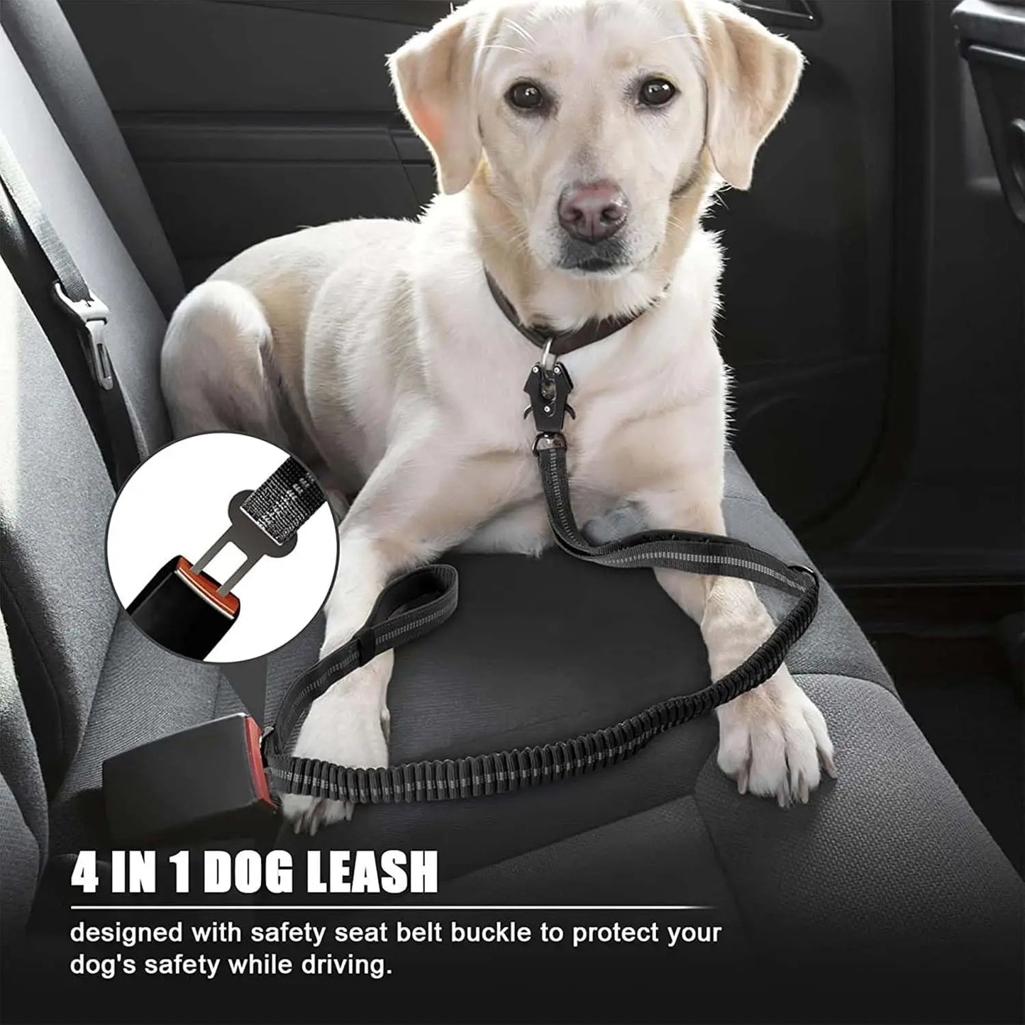 Reflective Shock Absorbing Pet Leash