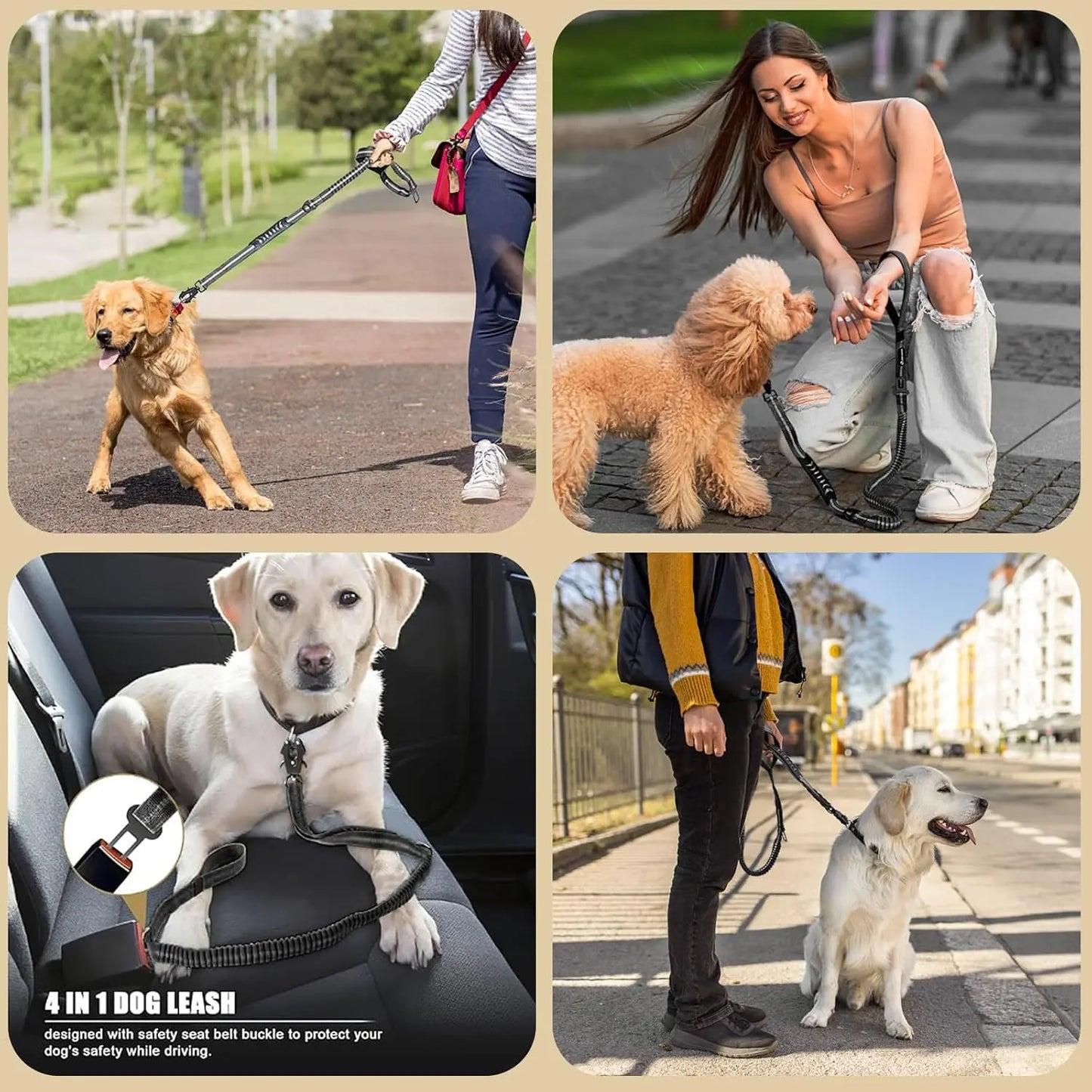 Reflective Shock Absorbing Pet Leash