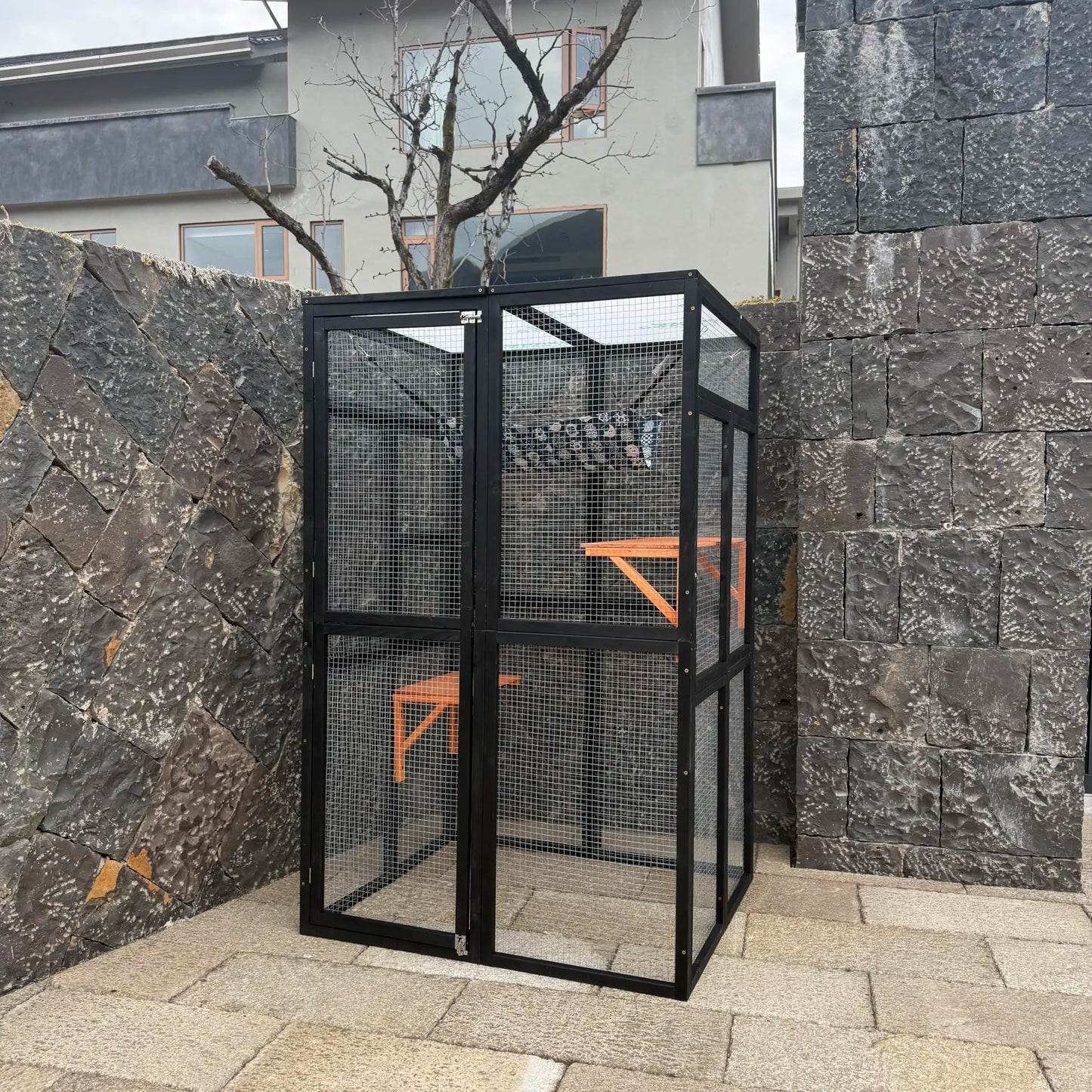 Outdoor Cat Enclosure