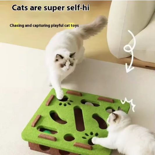 Interactive Cat Toy Maze Game