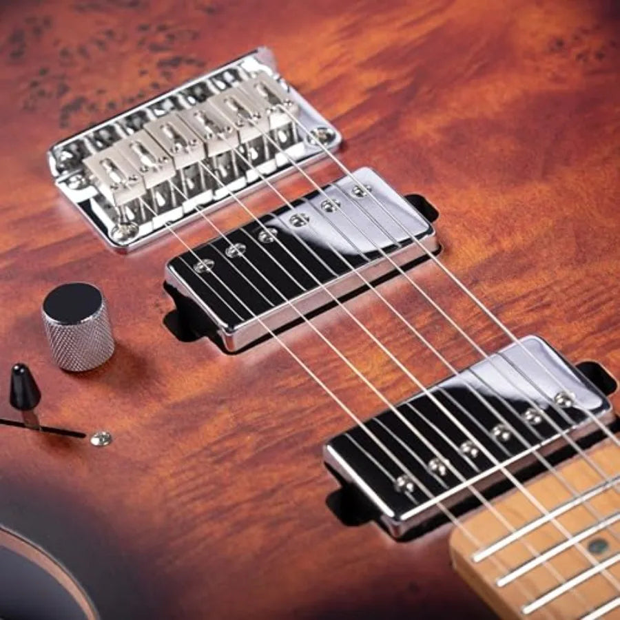 Electric Guitar
