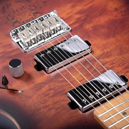 Electric Guitar