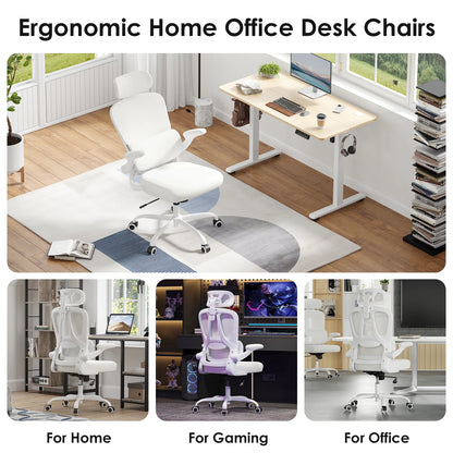 Ergonomic Office Chair