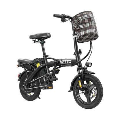 Adult Electric Bike