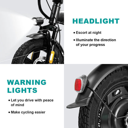 Adult Electric Bike