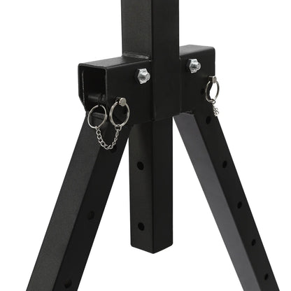 Triangular Pull Up Station