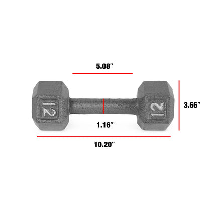Barbell 12lb Cast Iron Hex Dumbbell